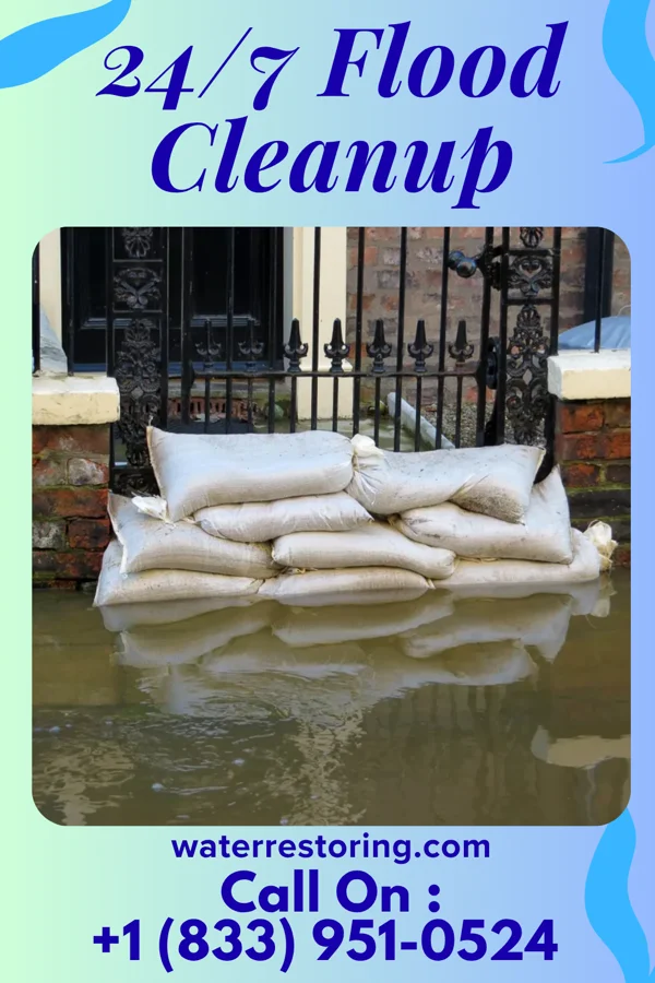 24/7 Flood Cleanup in Louisa, KY