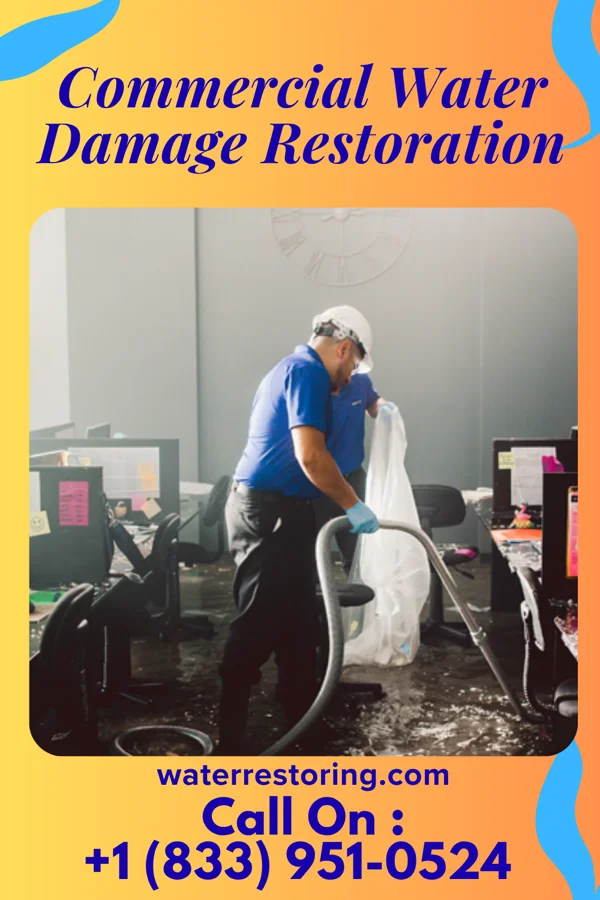 Commercial Water Damage Restoration in Louisa, KY