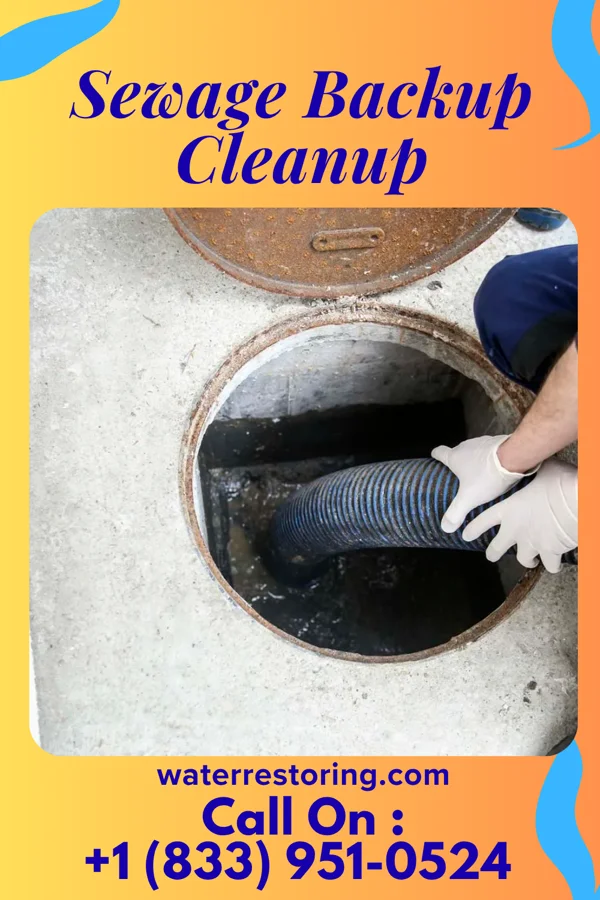 Sewage Backup Cleanup in Louisa, KY