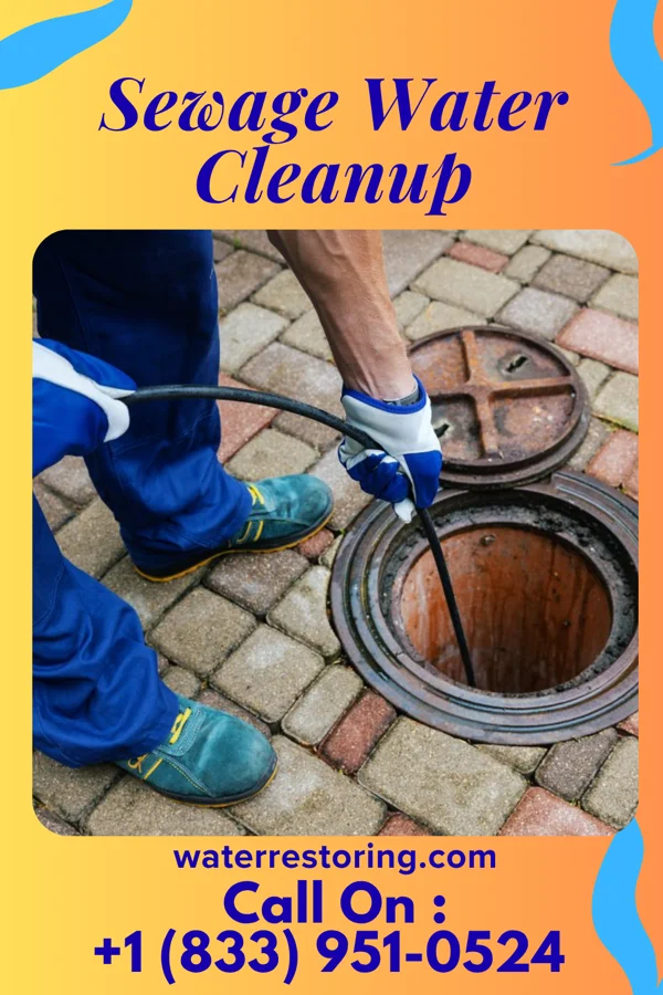 Sewage Water Cleanup in Louisa, KY